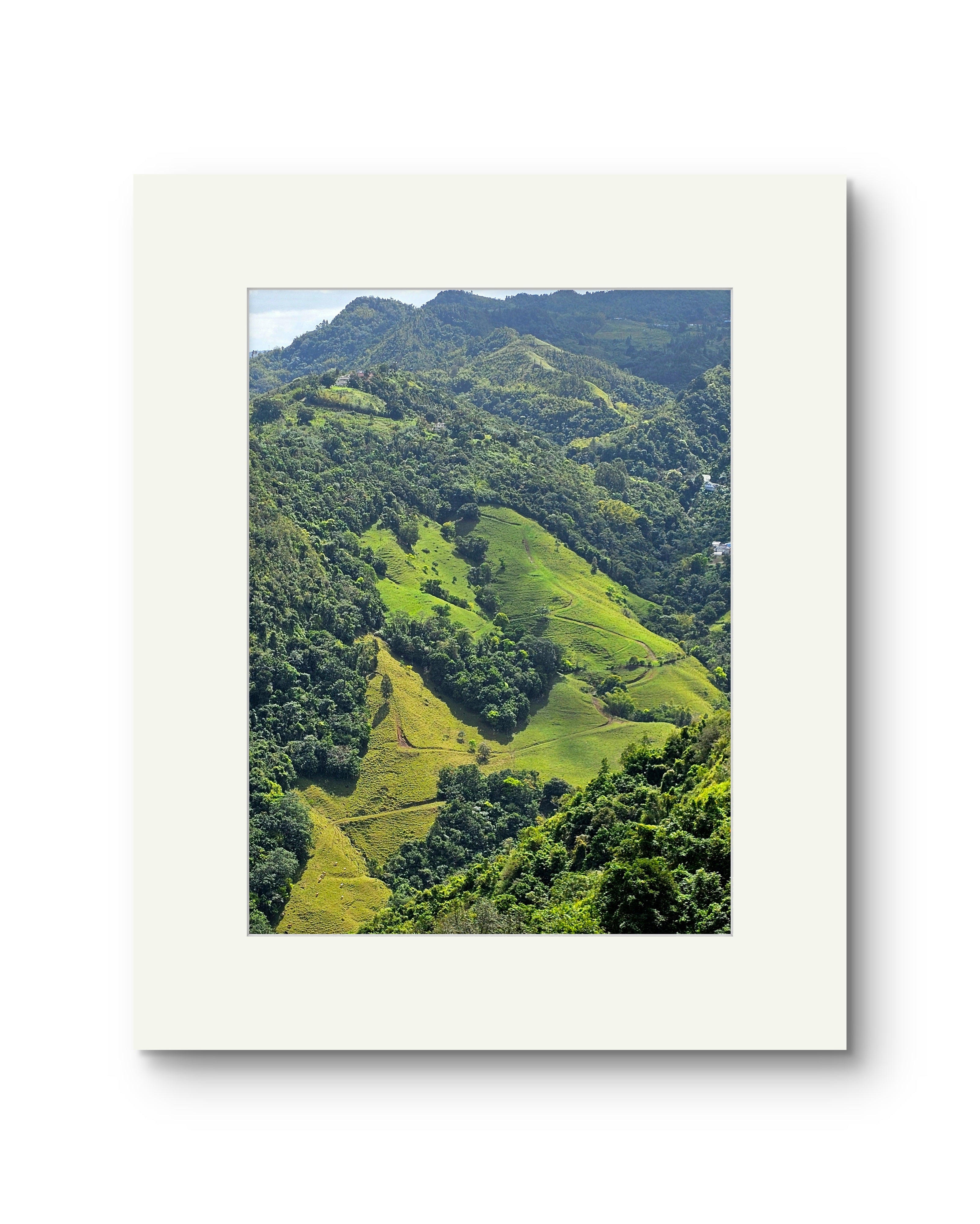 Heart in the Mountain